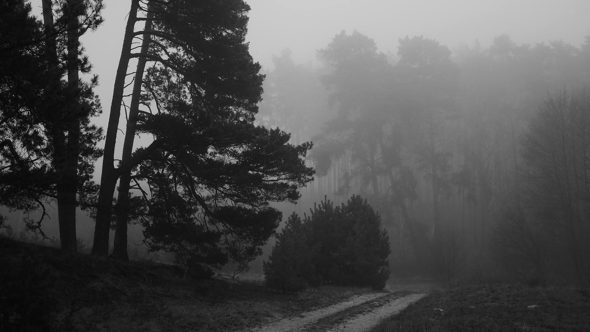 Confronting Unknowns banner